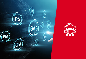 קורס מיישם SAP ERP